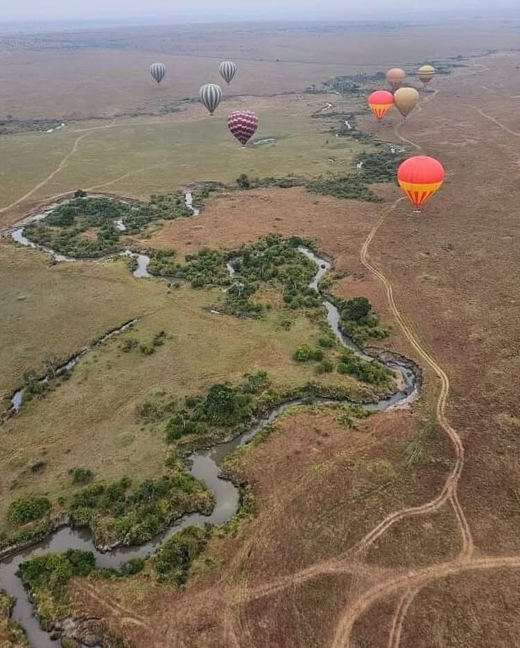 6 Days Masai Mara Nat Park and Naivasha Safari — 6-day safari in Kenya: Mara wildlife with a Rift Valley lake finish.