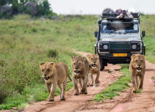 5 days Uganda Safari