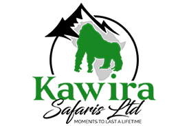 Kawira Safaris