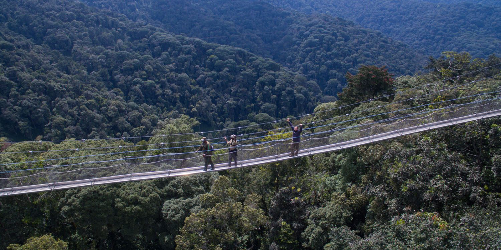 Nyungwe Forest National Park