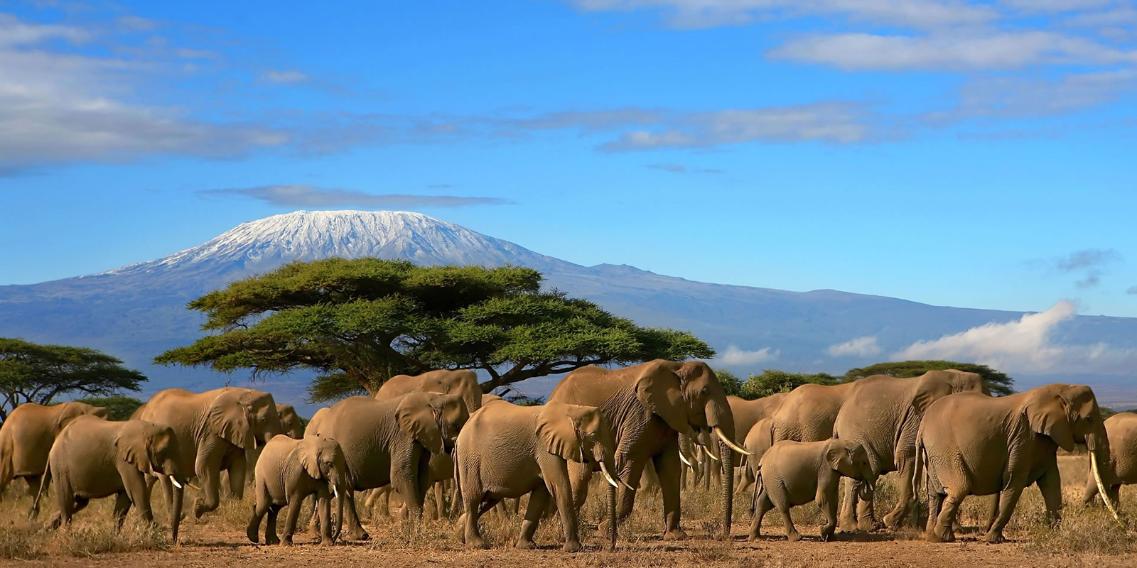 Amboseli National Park