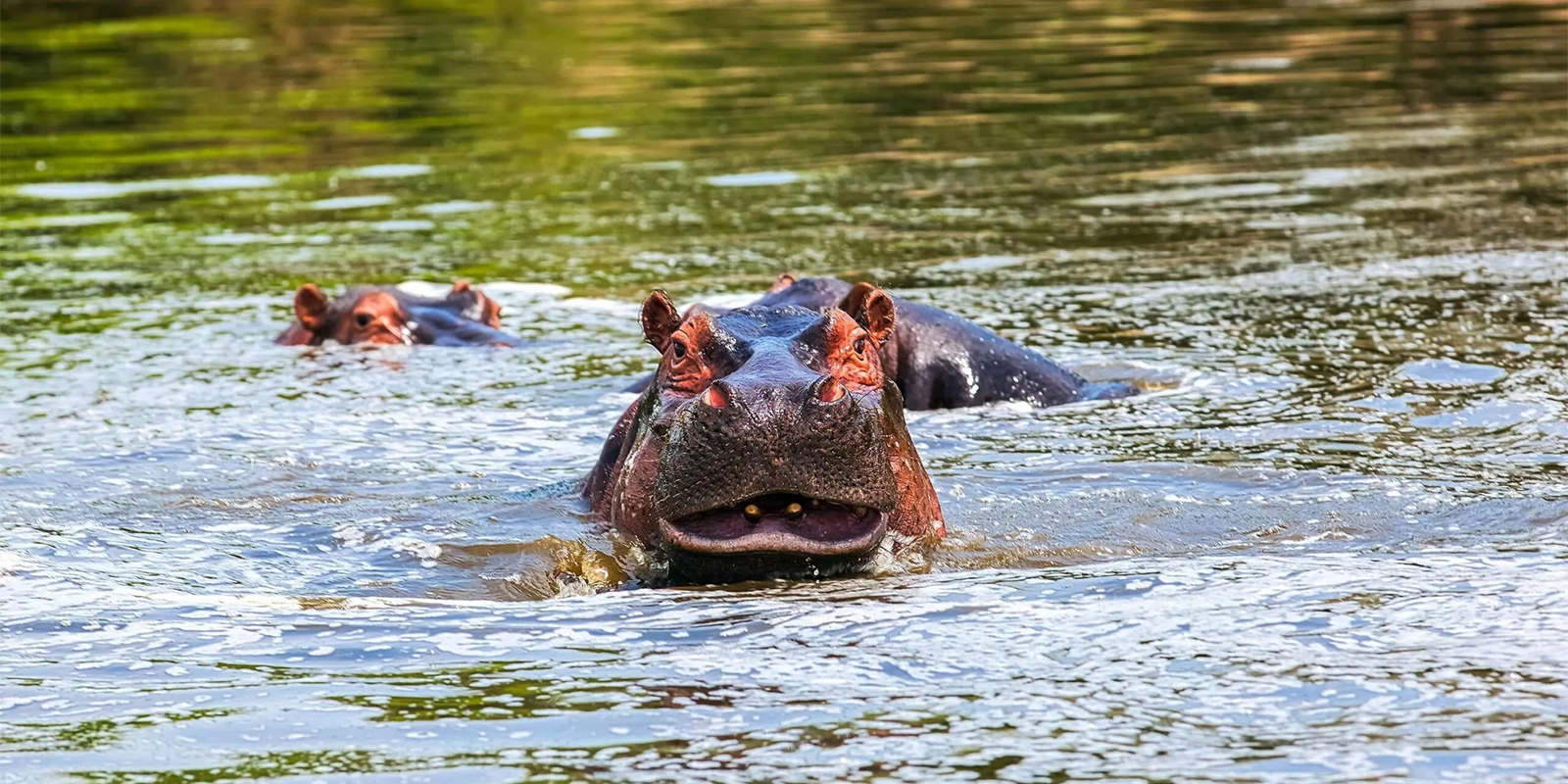 Lake Mburo National Park