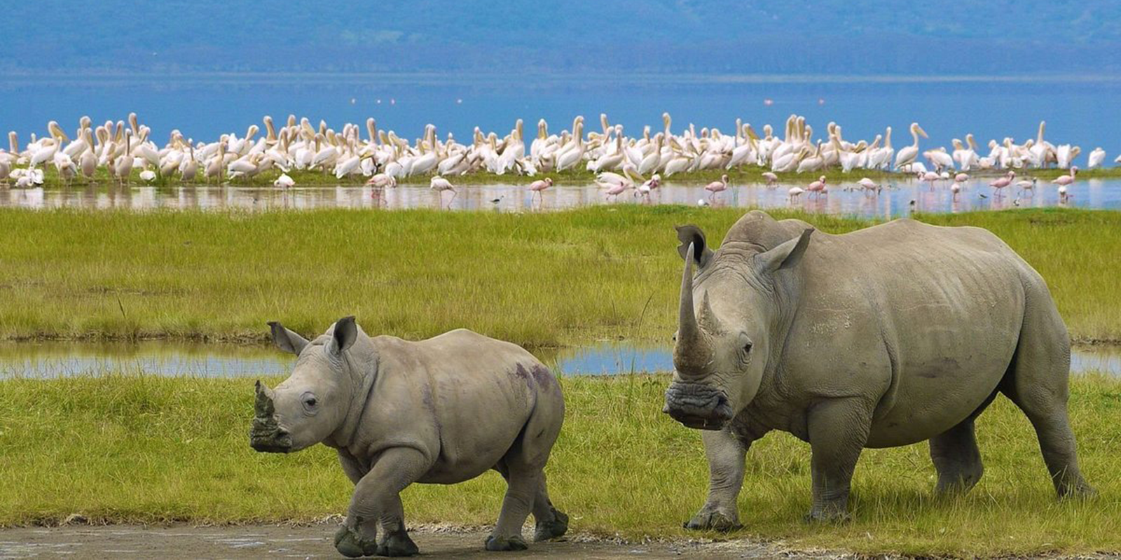 Lake Nakuru National Park