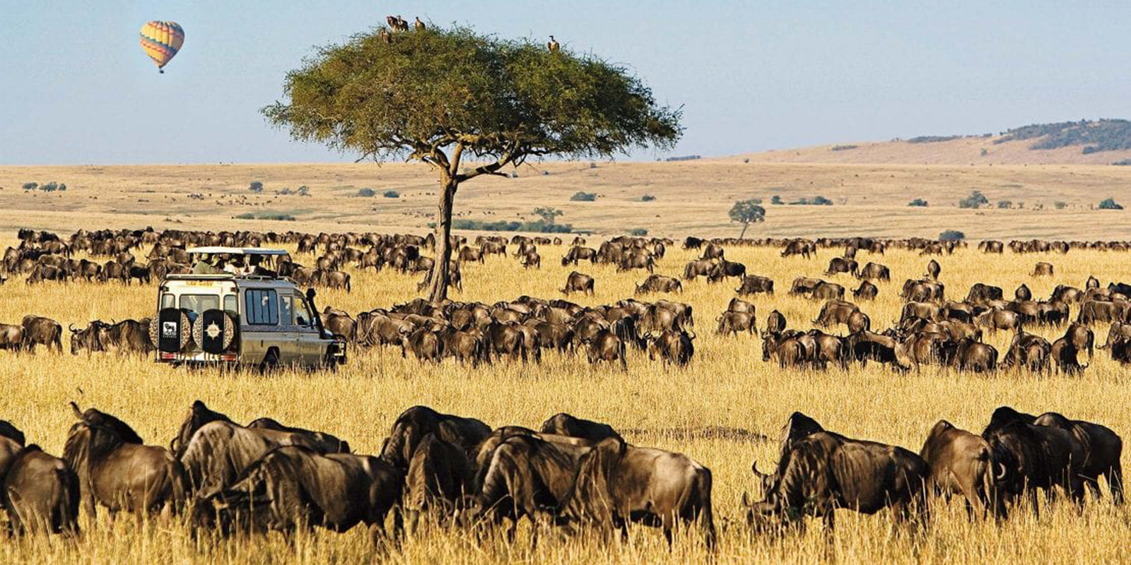 Maasai Mara National Reserve