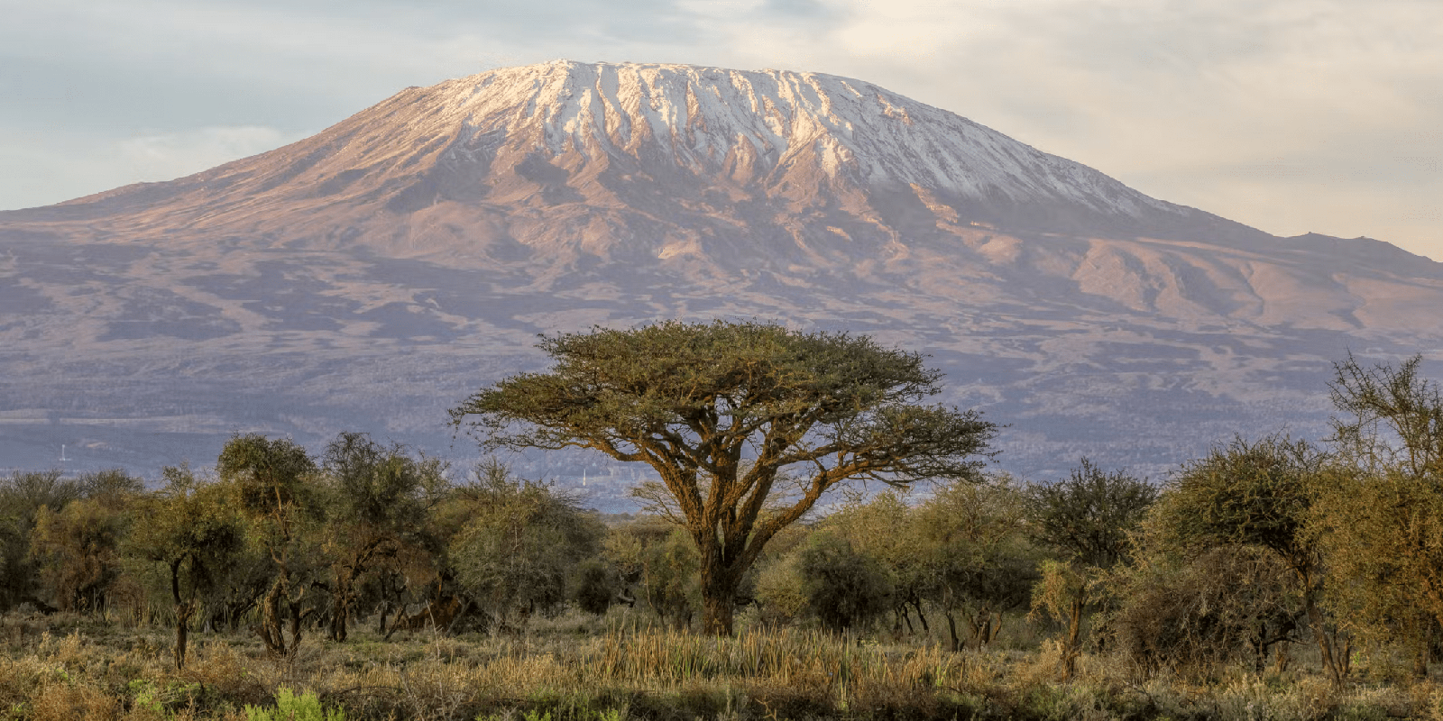 Mount Kilimanjaro