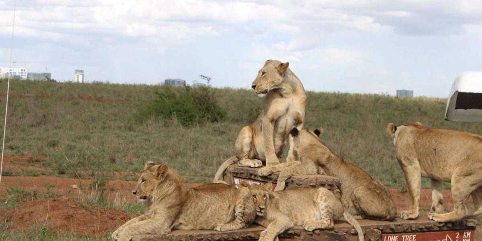 Nairobi National Park