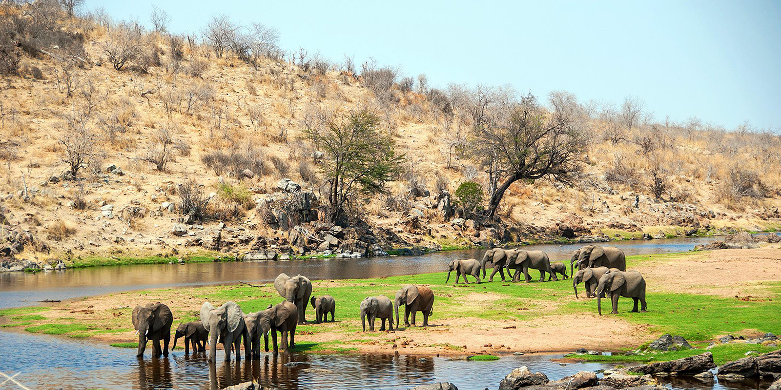 Ruaha National Park