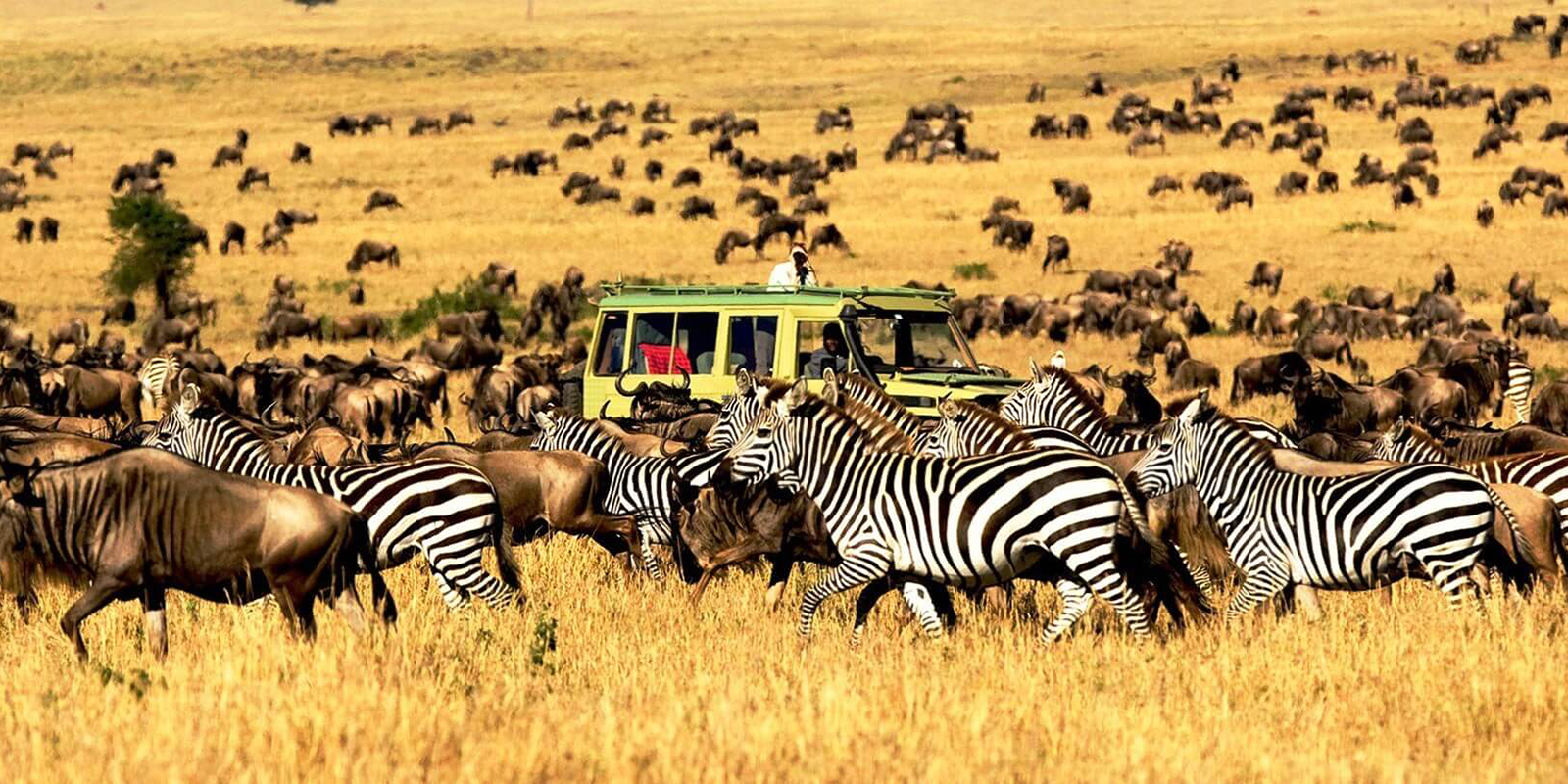 Serengeti National Park