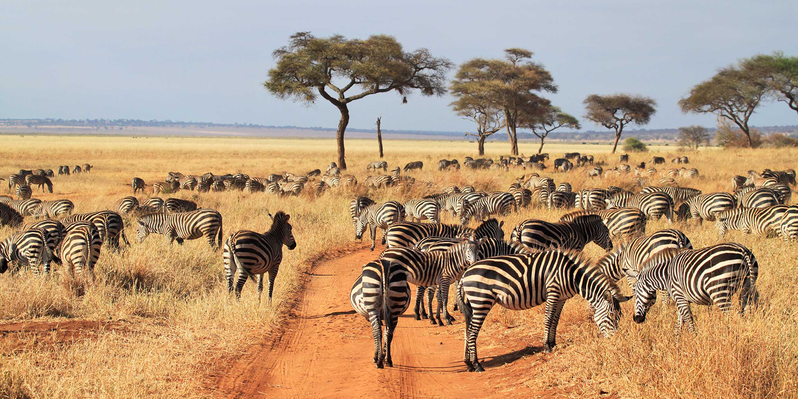 Tarangire National Park