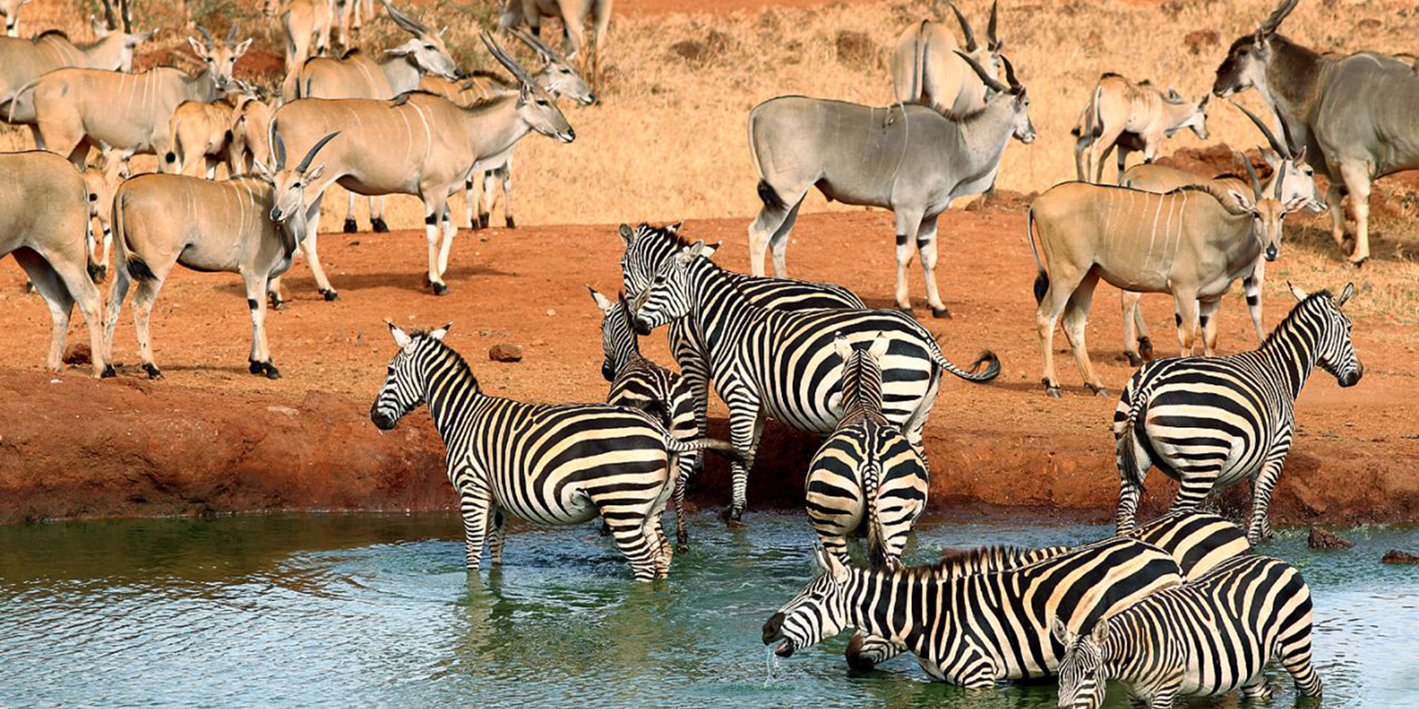 Tsavo Park