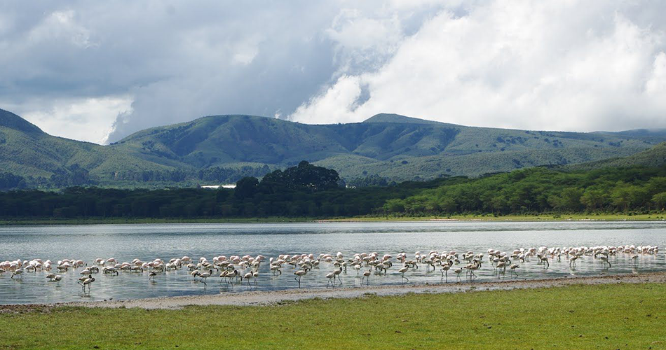 7 Days – Masai Mara, Lake Nakuru and Lake Naivasha