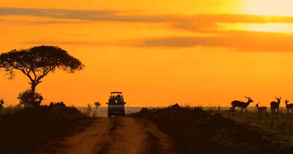 10 days Ugandan Photography Safari