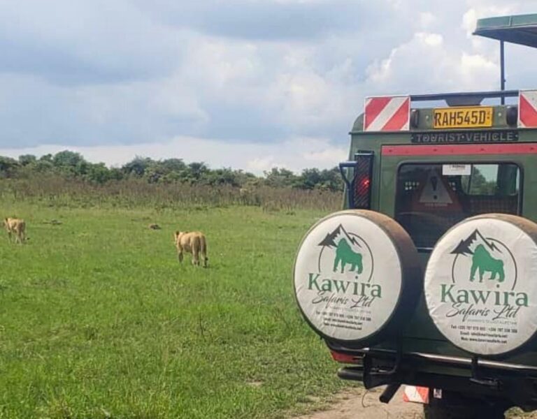 10 days Rwanda Adventure