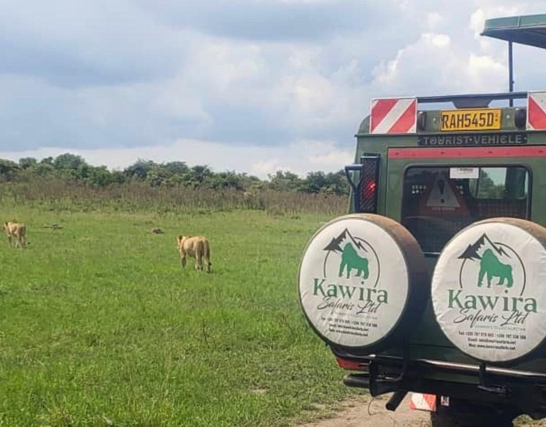 10 days Rwanda Adventure