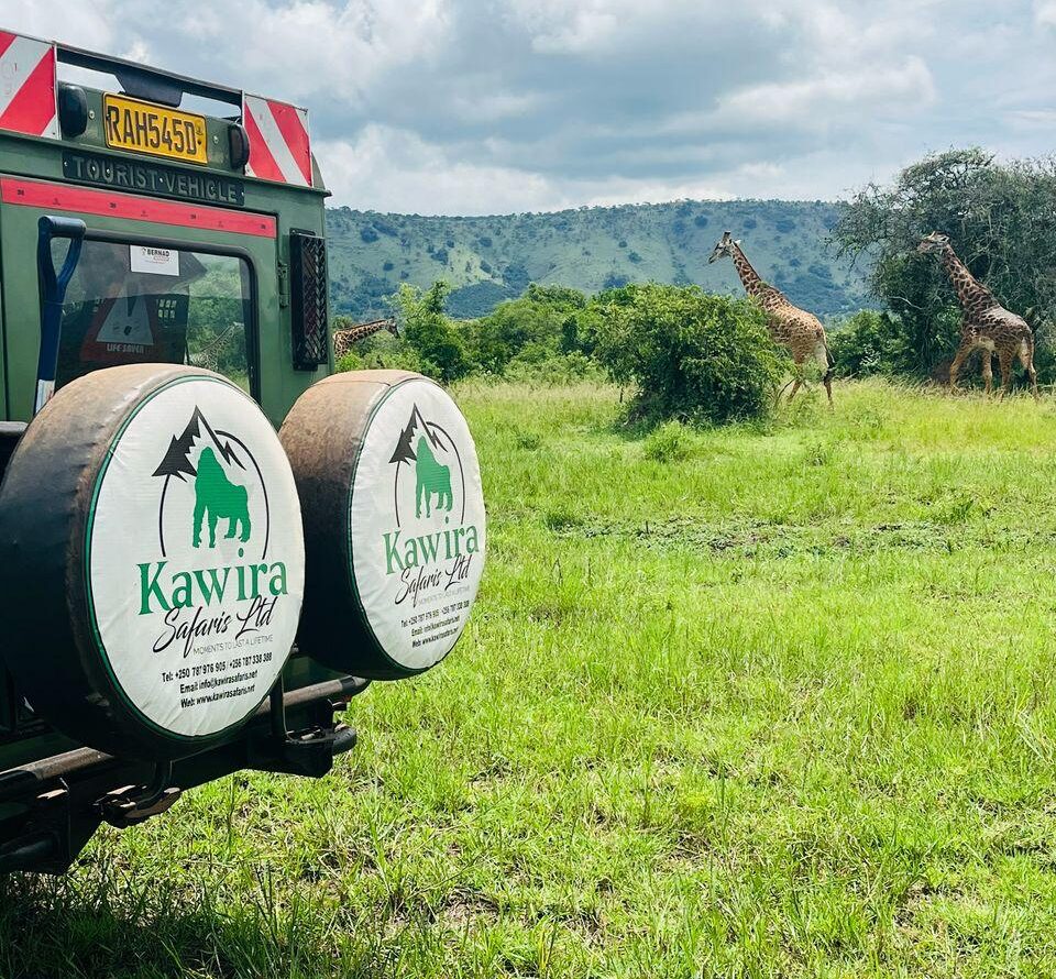 Akagera Nat Park Day trip